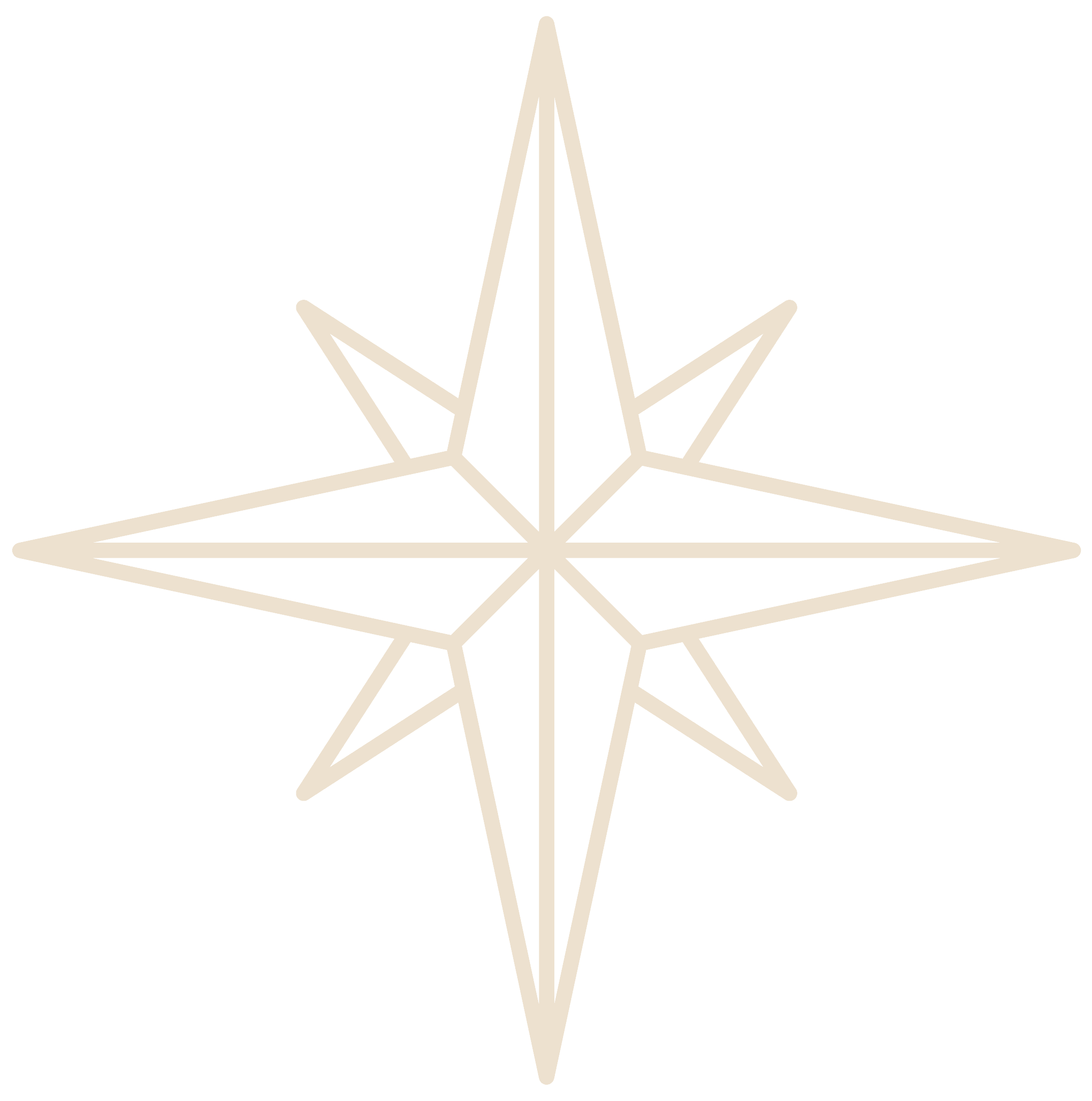 Icono